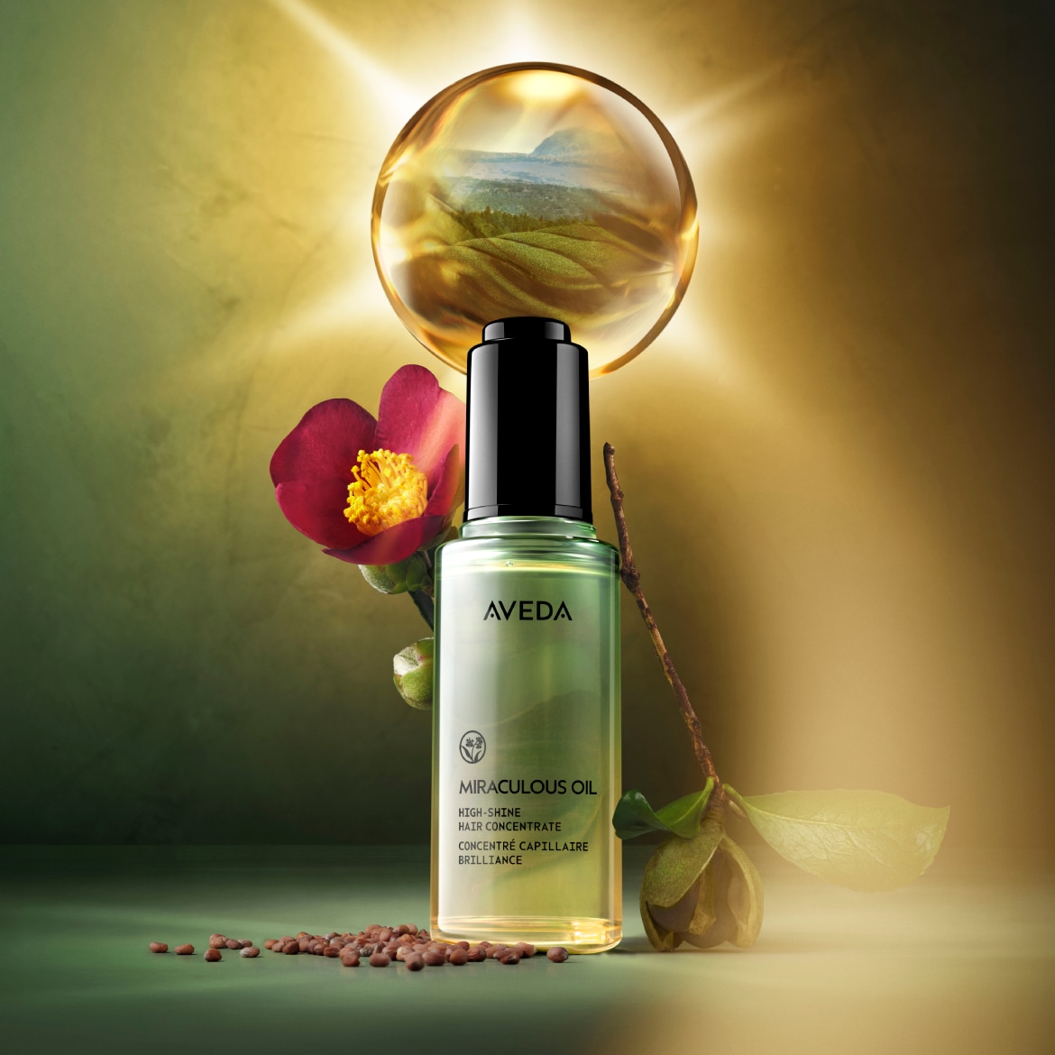 Aveda Miraculous Oil plaukų koncentratas skaidriame buteliuke su juodu dangteliu, papuoštas kamelijos žiedu ir sėklomis, skirtas plaukų blizgesiui.