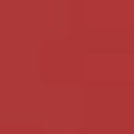 Nr. 862 BRUN AFFIRMÉ