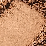 2 Medium Bronze