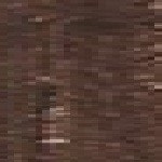 Warm Dark Brown