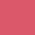 PINK SUEDE
