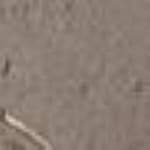 Nr. 3 Frosty Taupe