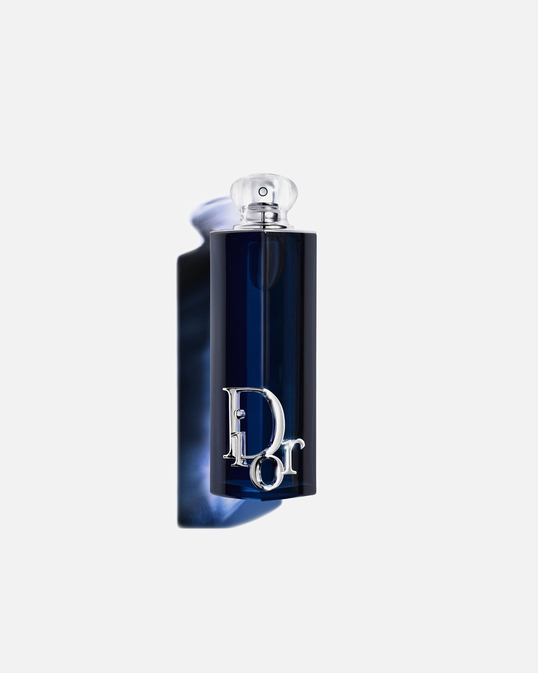 Parfumuotas vanduo MoterimsDIORADDICTEau de Parfum Spray100 ml