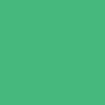 5 - NEON GREEN