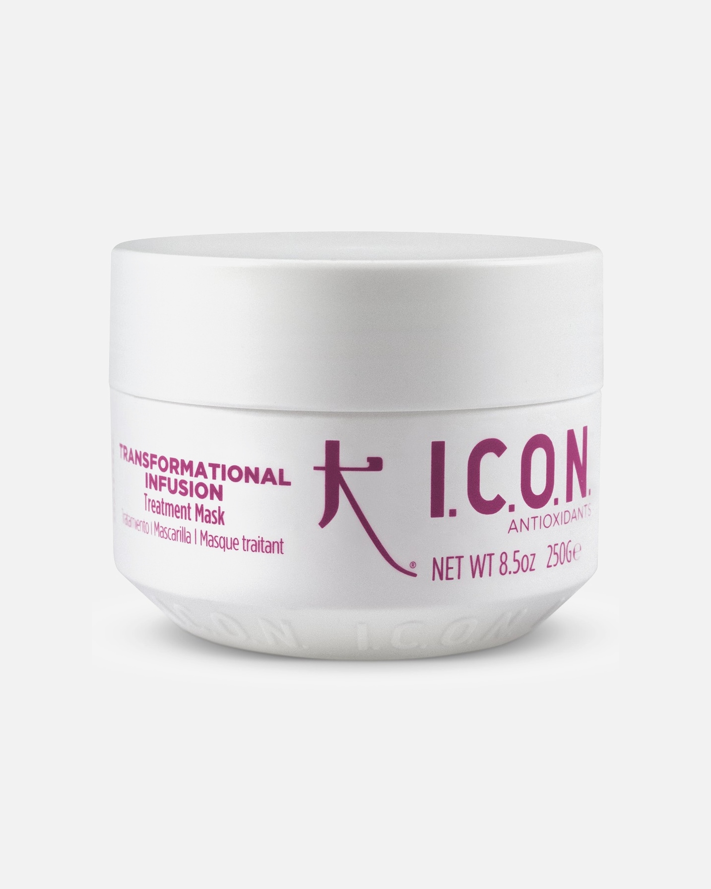 Plaukų atstatomoji priemonė MoterimsICONTransormational Infusion Mask250 g