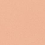 110 - IVOIRE COOL 010
