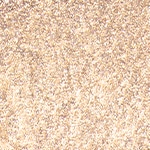 Iridescent Nr. 5 - Glorious