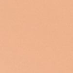 310 - BISQUE WARM 025