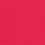 Nr. 838 ROSE AUDACIEUX