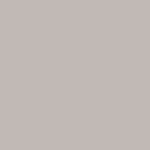 SILVERSPUN