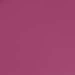 Nr. 27 Hottie Hijacker