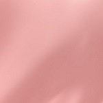 Cream Rose