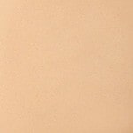 23N - WARM BEIGE