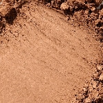 3 Tan Bronze