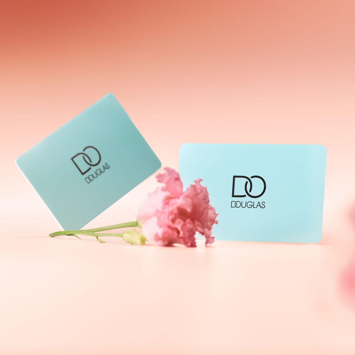 Šviesiai mėlynos spalvos Douglas dovanų kortelės su juodu logotipu ir rausvu gėlės žiedu priekyje.