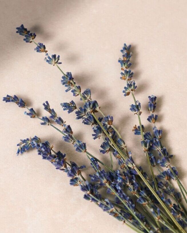 Švelniai violetiniai levandų stiebeliai ant smėlio spalvos paviršiaus sukuria raminančią ir natūralią atmosferą.