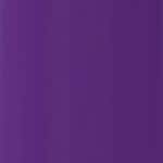 07 Confident Purple