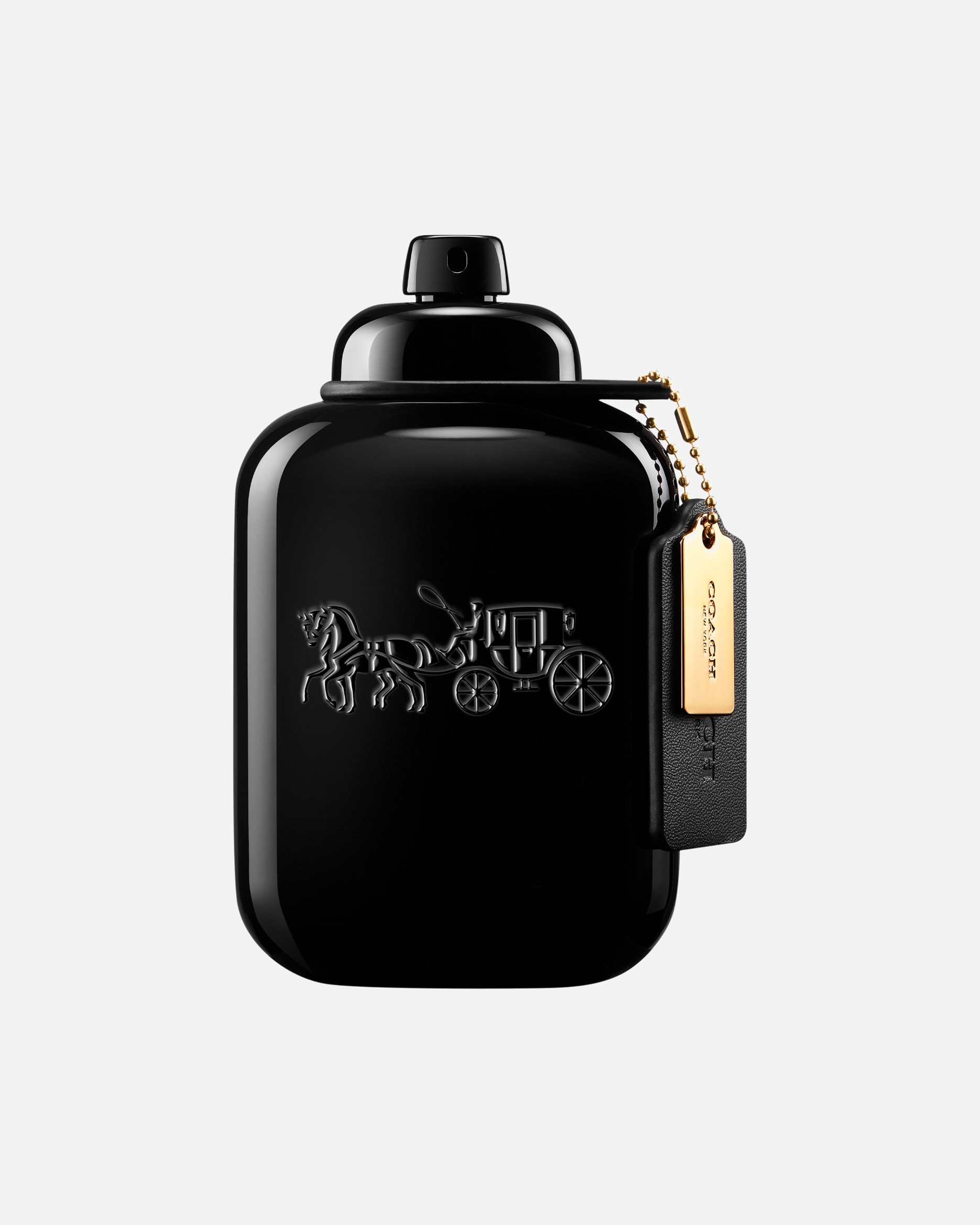 Parfumuotas vanduo VyramsCOACHFor MenFor Men100 ml