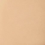 27W - MEDIUM BEIGE