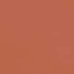 214 BEIGE FAUVE